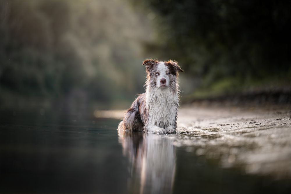 Photograph by Kelemen Tímea