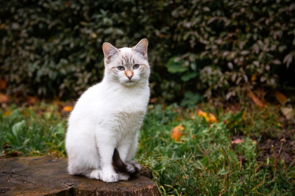 Photograph by Дмитрий Тимин