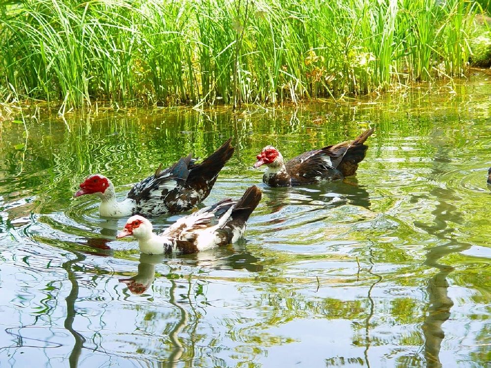 Photograph by Владимир Ким