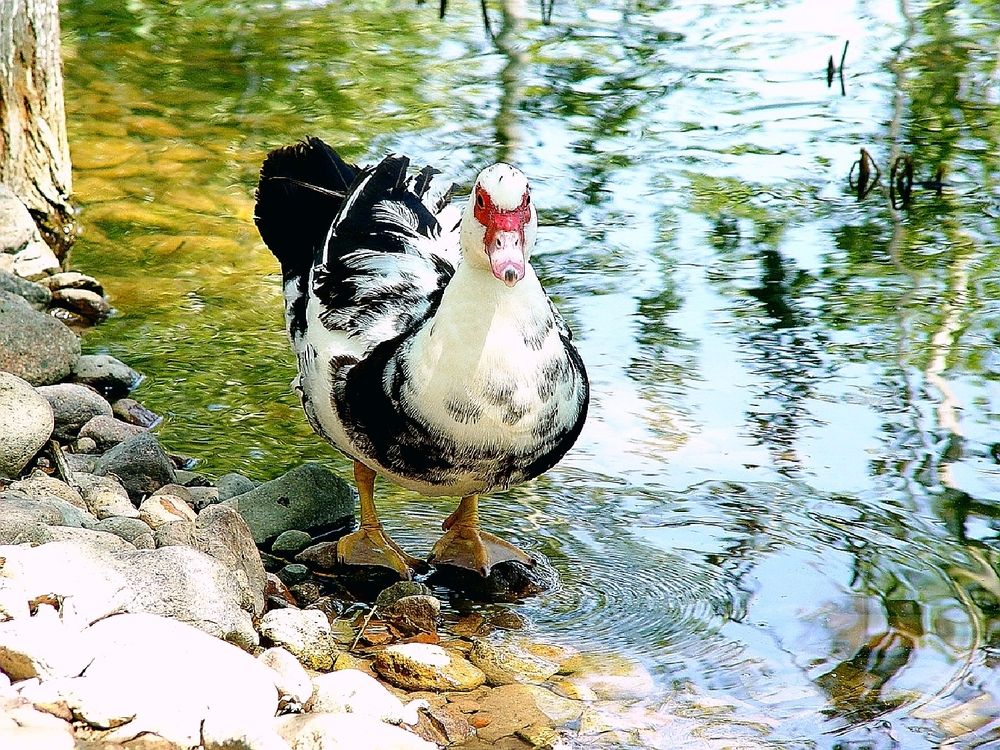 Photograph by Владимир Ким