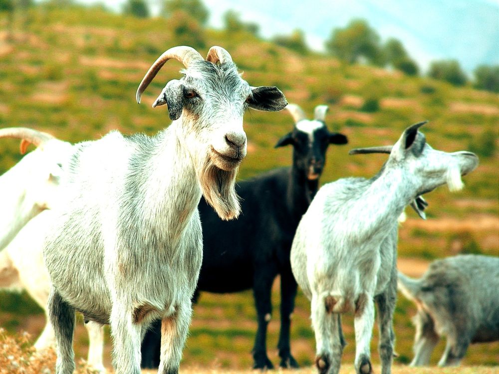 Photograph by Владимир Ким