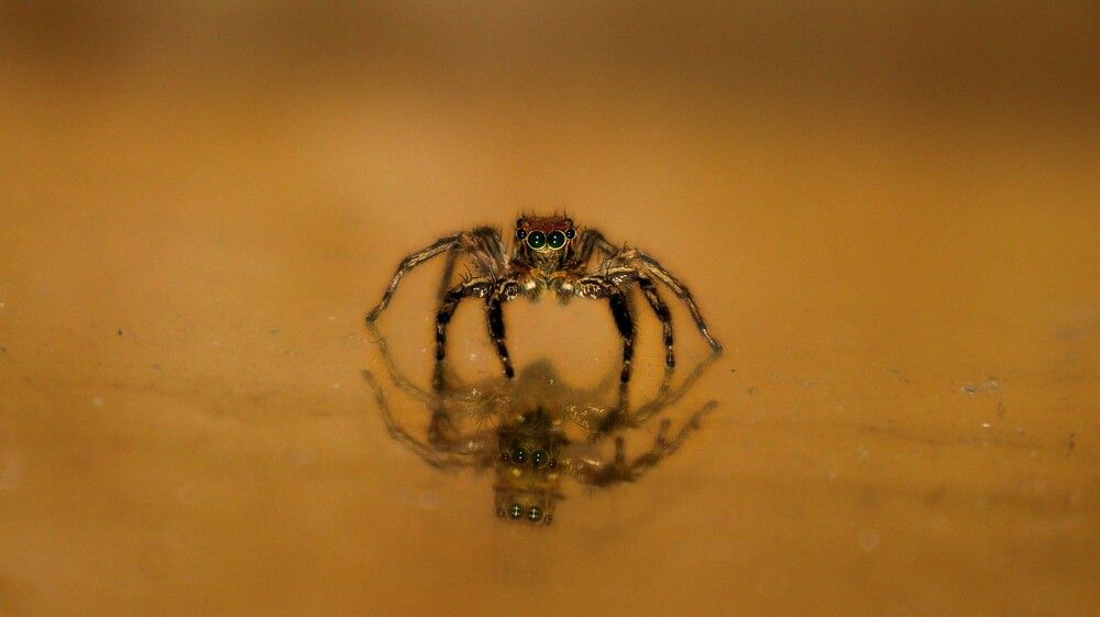 Photograph by Anurag Kashyap