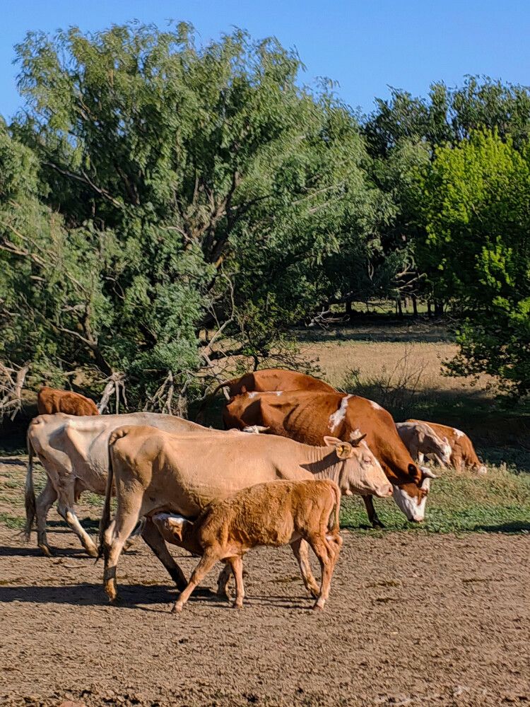 Photograph by Ульяна Кузьмина