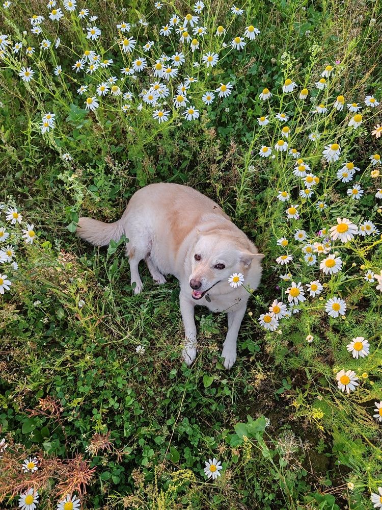 Photograph by Екатерина