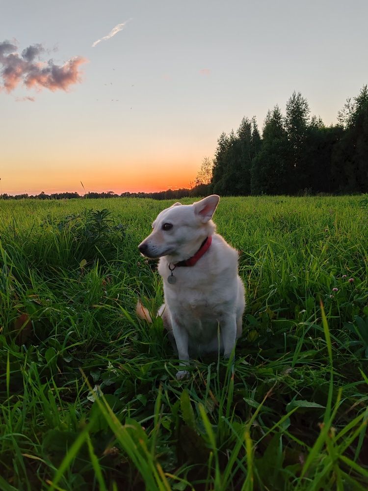 Photograph by Екатерина