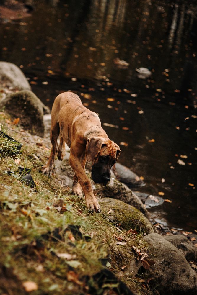 Photograph by Екатерина Воронина