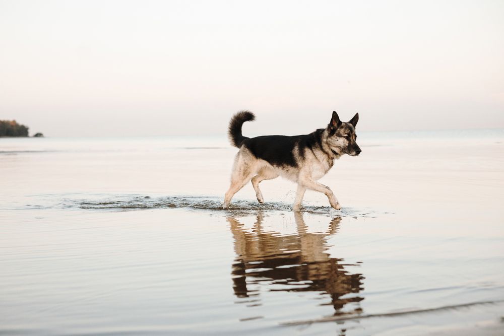 Photograph by Екатерина Воронина