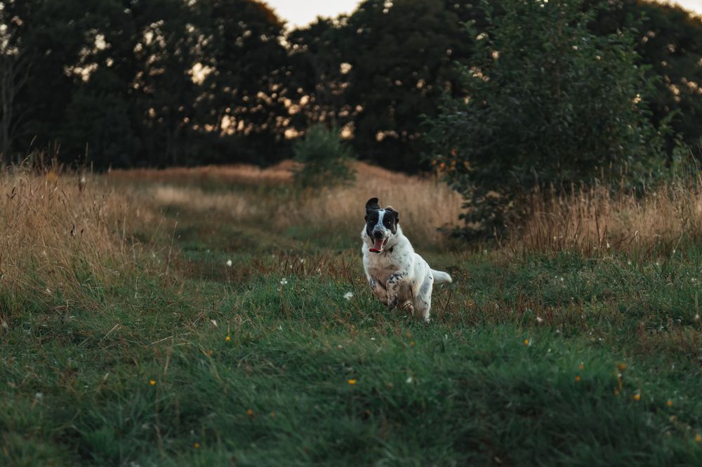 Photograph by Елена Владимировна