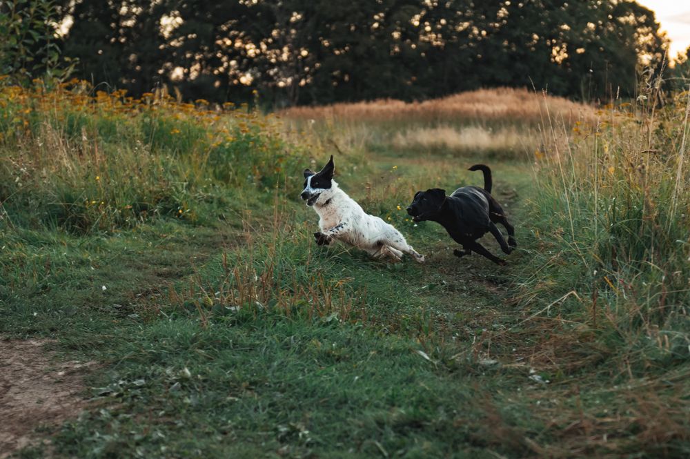 Photograph by Елена Владимировна