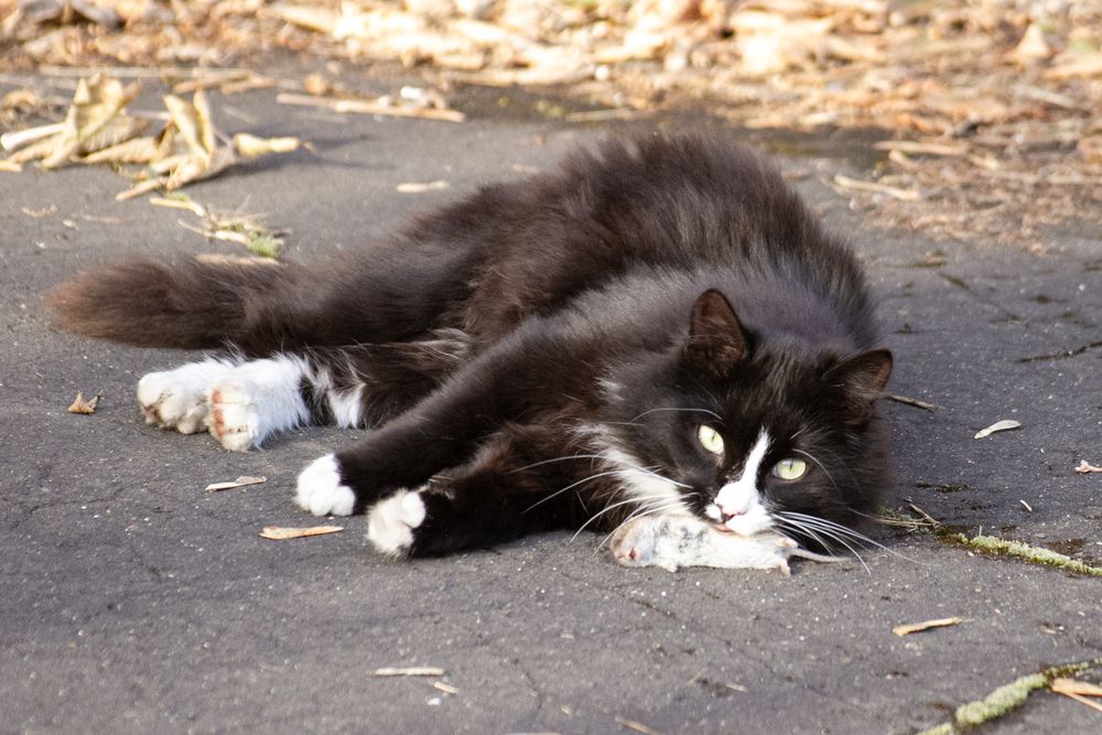 Photograph by Юрий Клишин