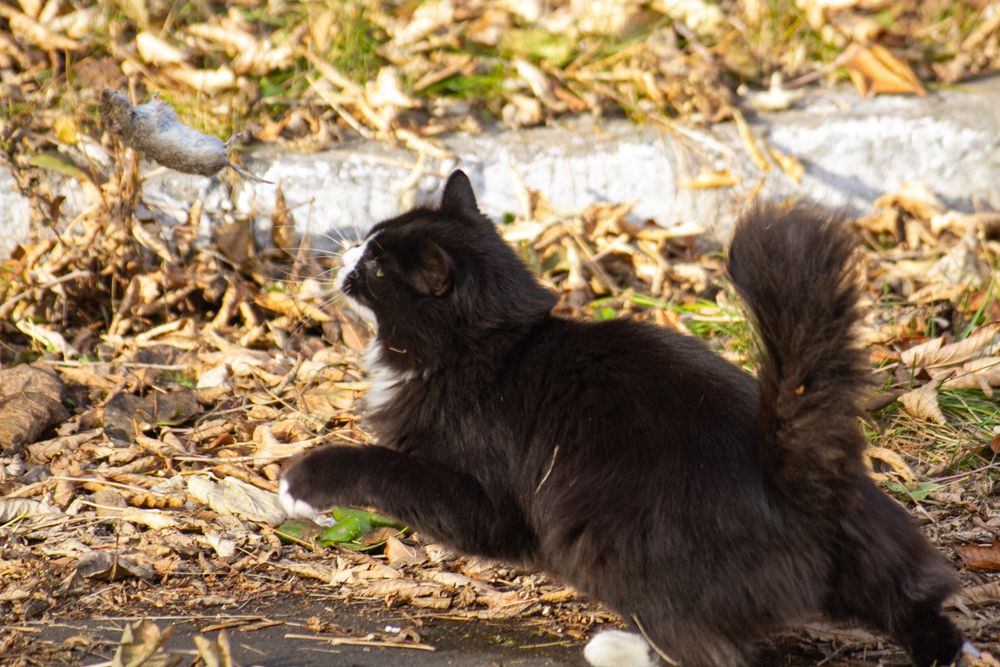 Photograph by Юрий Клишин