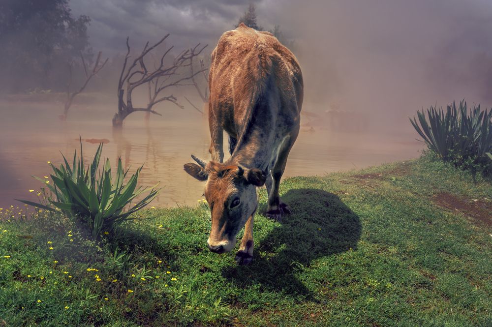 Photograph by сергей поспелов