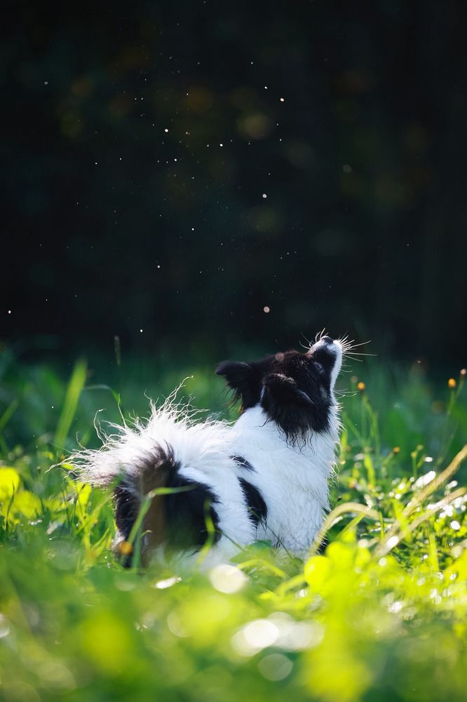 Photograph by Мария Романова