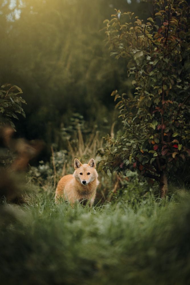 Photograph by Мария Романова