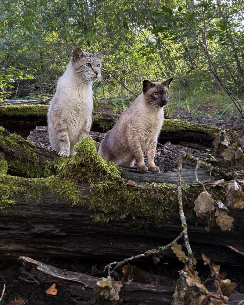 Photograph by LYUDMYLA POKRYSHEN