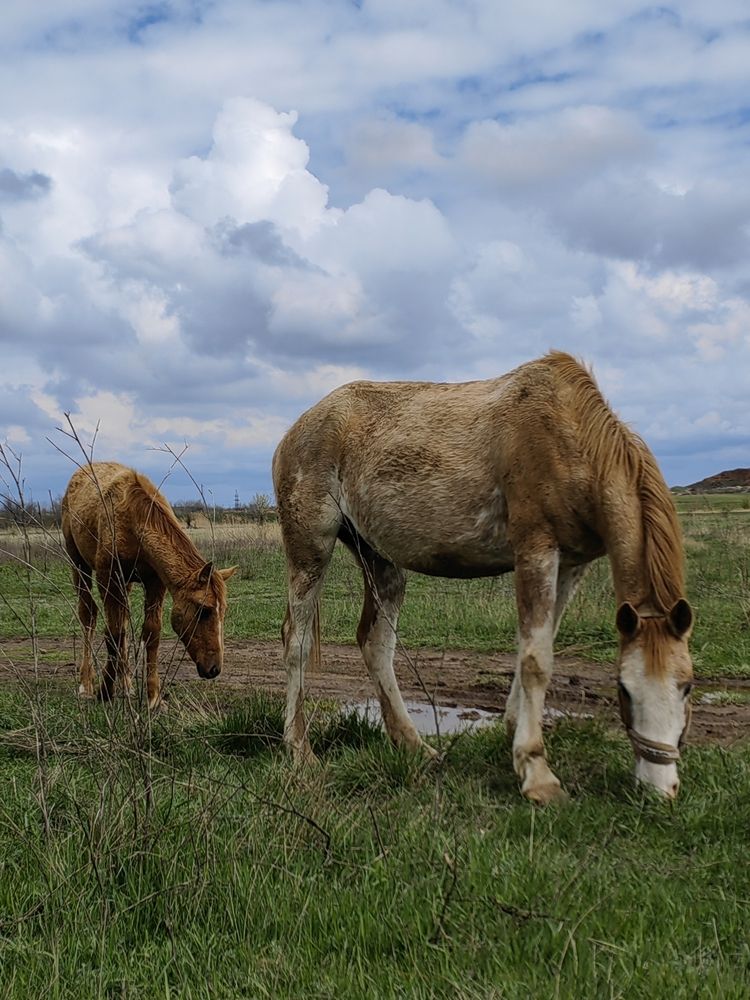 Photograph by Ульяна Кузьмина