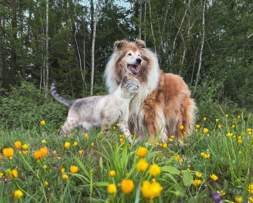 Photograph by LYUDMYLA POKRYSHEN