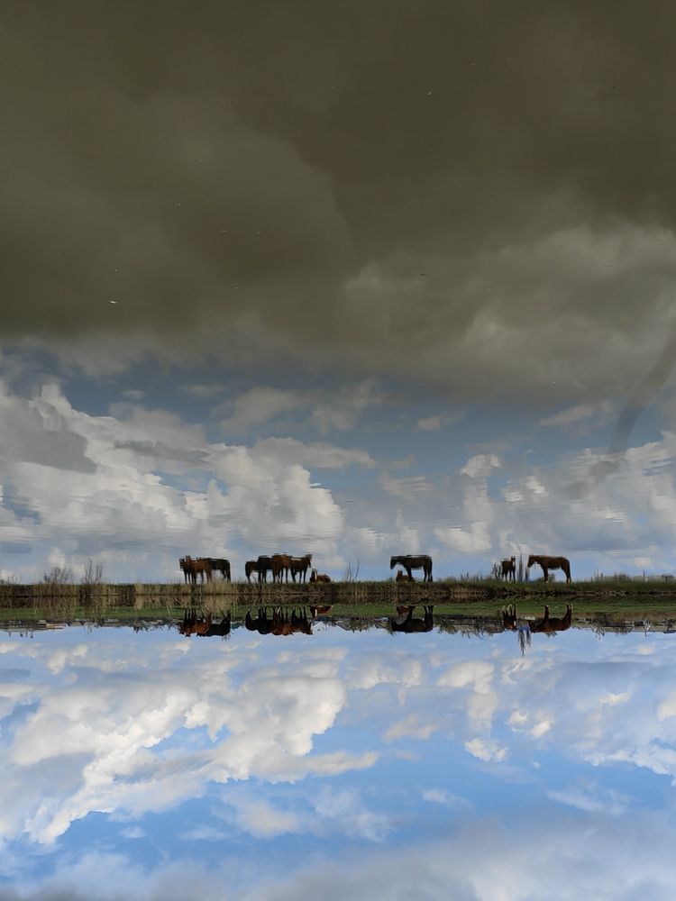 Photograph by Ульяна Кузьмина