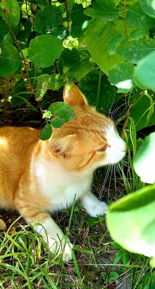 Photograph by Ольга Юрченко