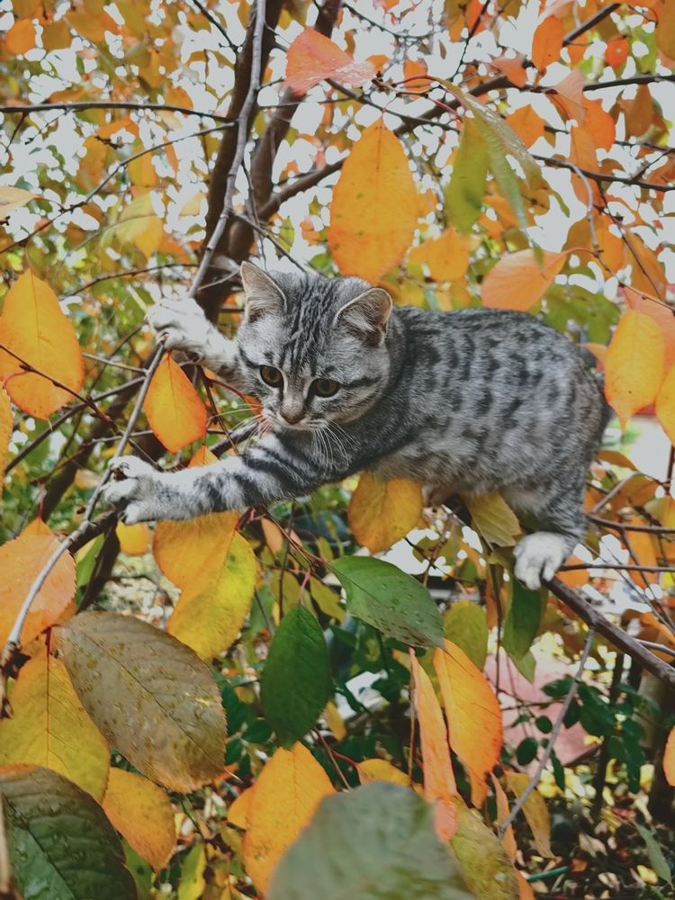 Photograph by Ульяна Кузьмина