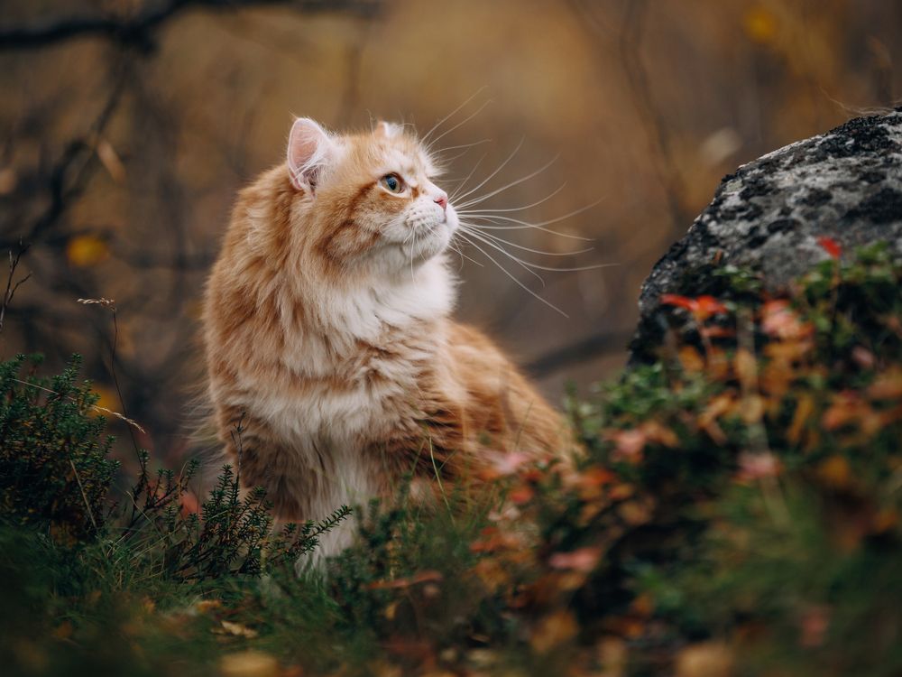 Photograph by Ирина Левакова