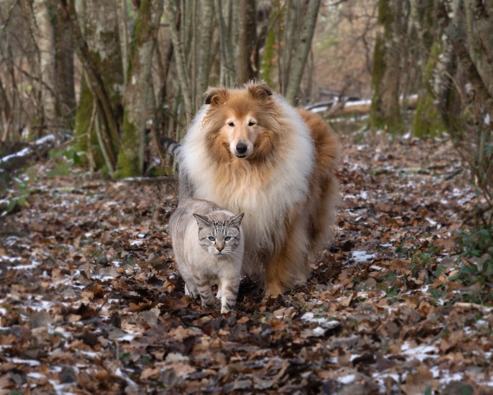 Photograph by LYUDMYLA POKRYSHEN