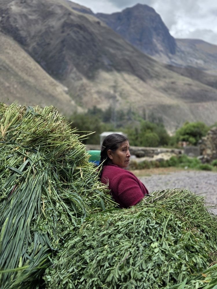 La vie aux confins des Andes péruviennes