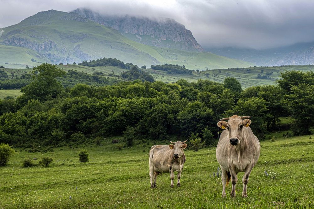 Photograph by Владимир
