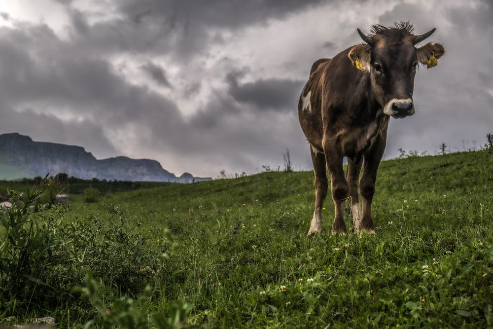 Photograph by Владимир