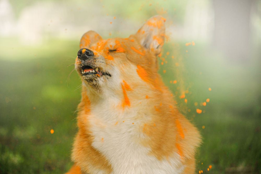 Photograph by Мария Лавриненко