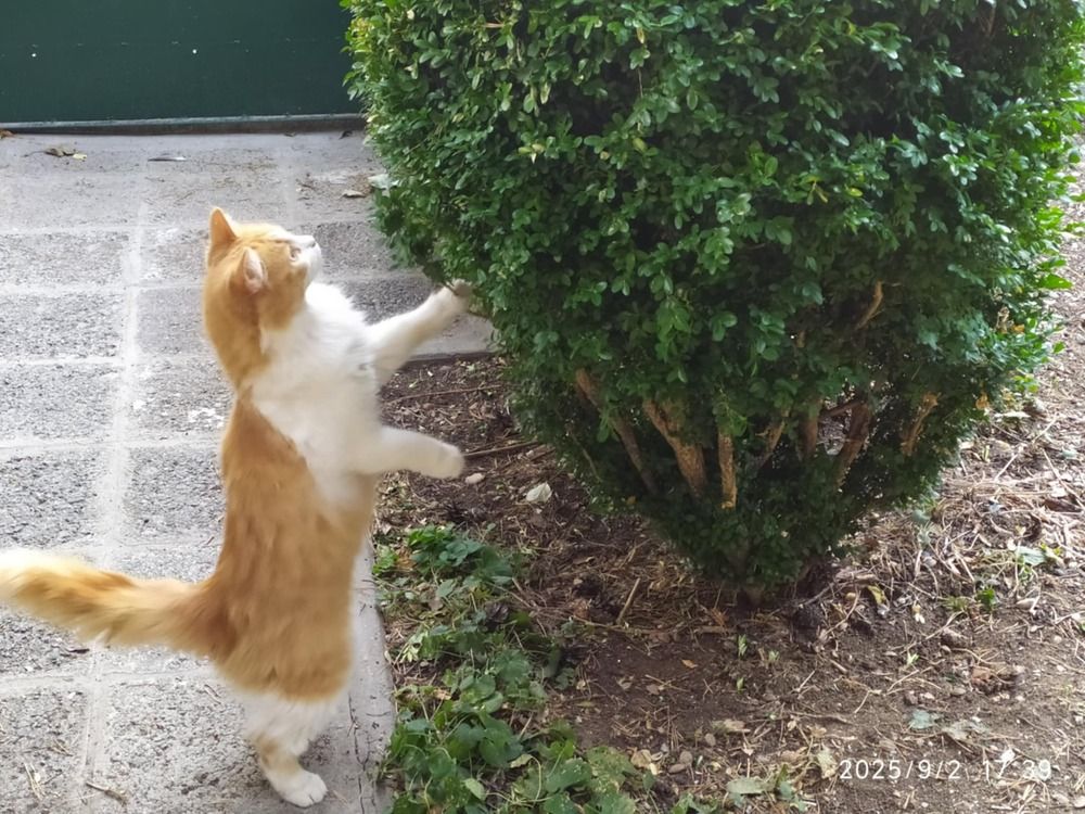 Фотография автора Milena Ivanova