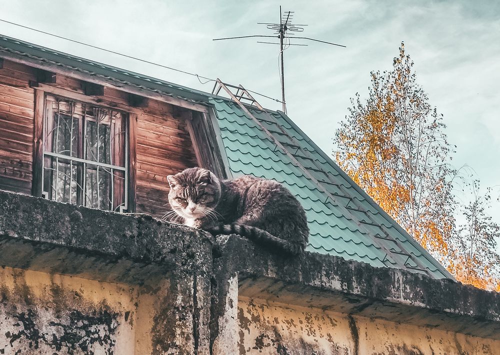 Photograph by Екатерина Никитина