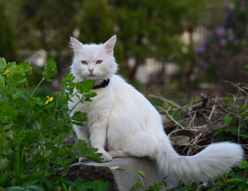 Photograph by Alexandra Ivanova