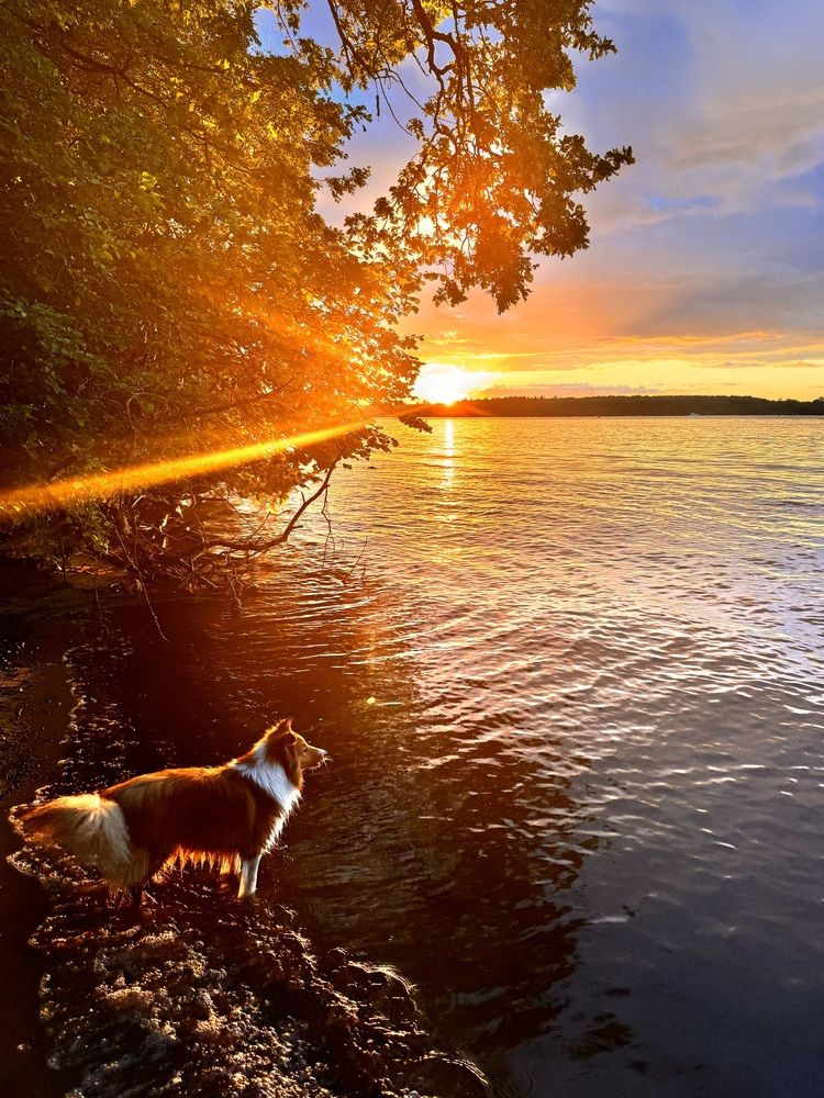 Закат над Клязьмой