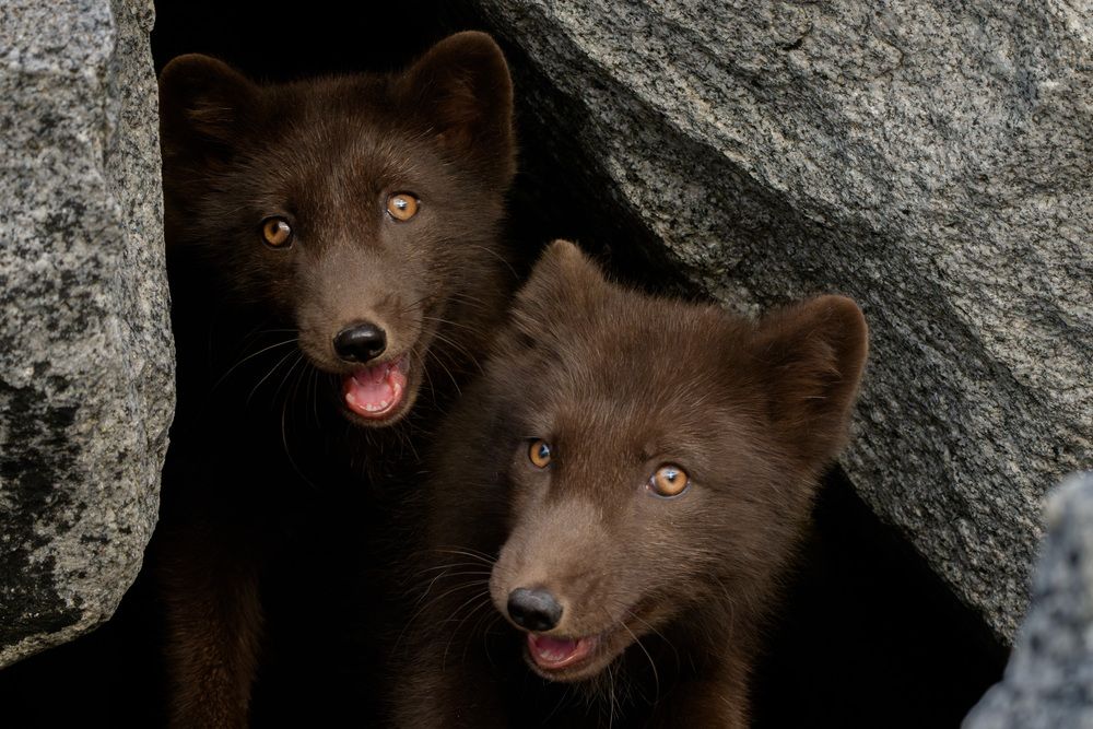 Photograph by Илья Труханов