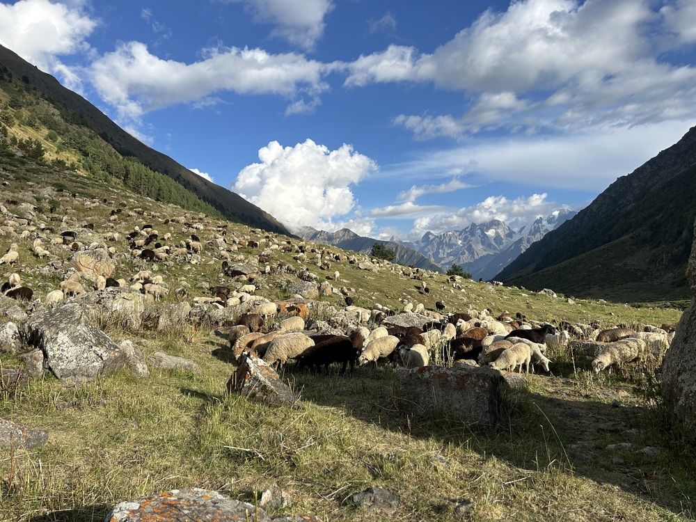 Photograph by Елена Власова