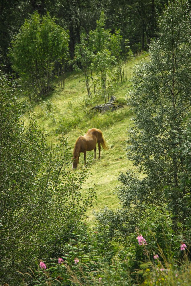 Photograph by Вячеслав Лычков