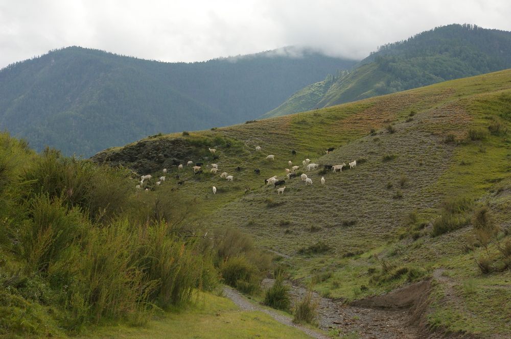 Photograph by Елена Алешкевич