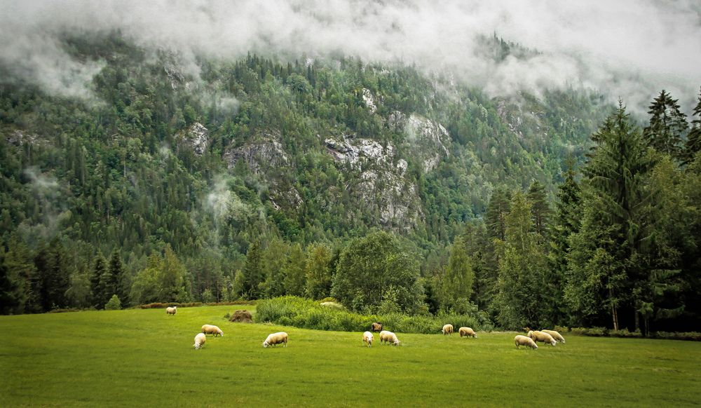 Photograph by Вячеслав Лычков