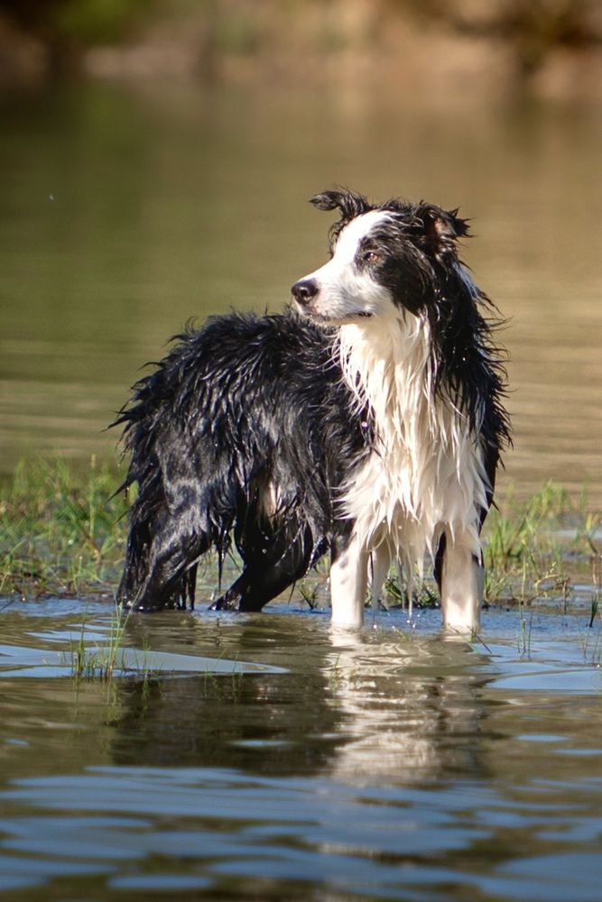 Photograph by Radenko Malić