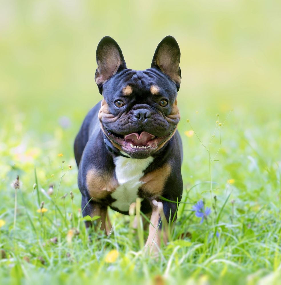 Photograph by Radenko Malić