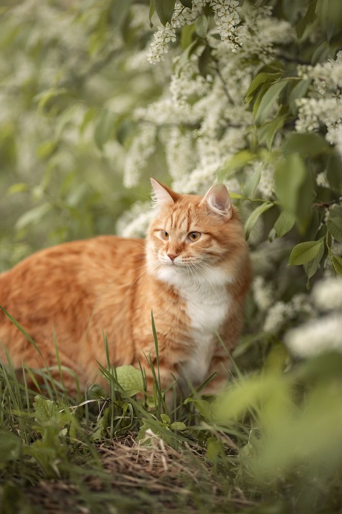 Photograph by Елена Косинова