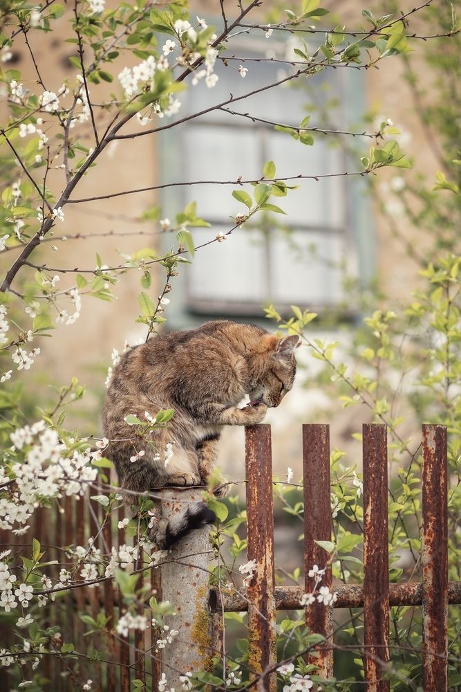 Photograph by Елена Косинова