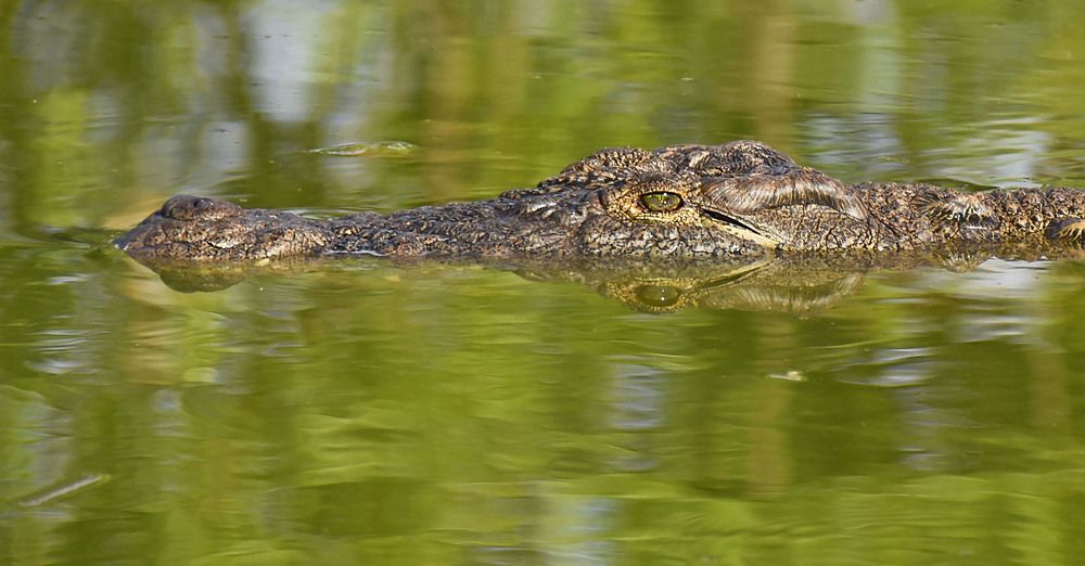 Photograph by Marjo Steffen