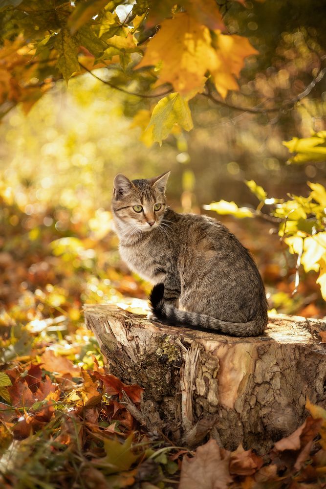 Photograph by Елена Косинова