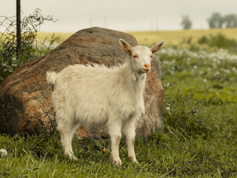 Photograph by Людмила