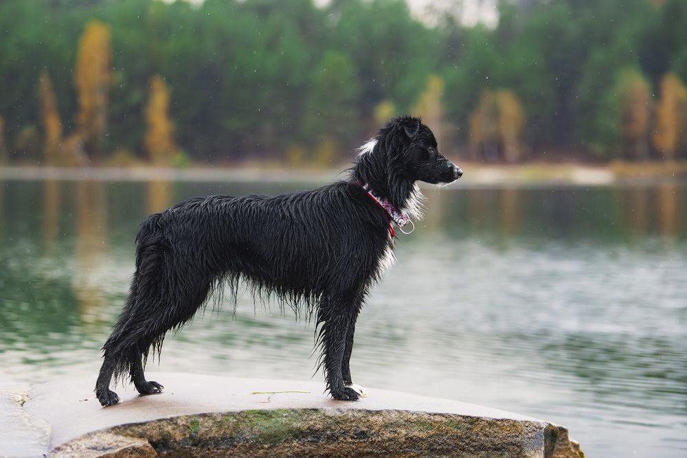 Photograph by Екатерина Амелина