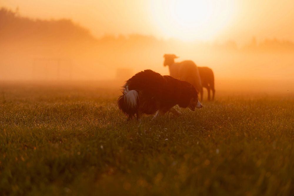 Photograph by Екатерина Амелина