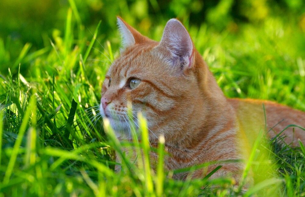 Photograph by Варвара Степанова