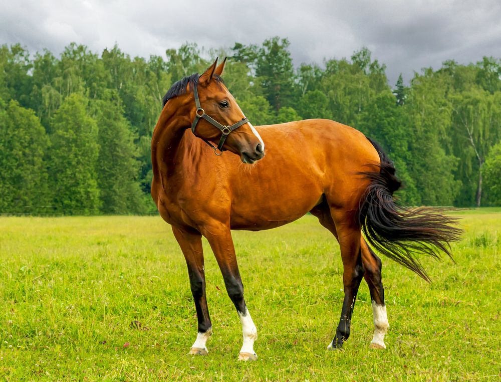 Photograph by александр лялин